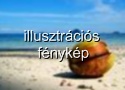 Obr�zek Egyiptom, Kair�