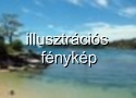 Obr�zek Madeira, Funchal